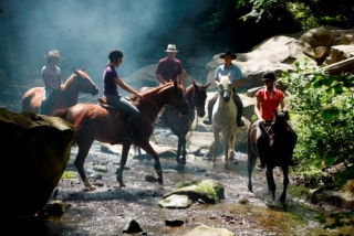 Découvrez des endroits magiques a cheval